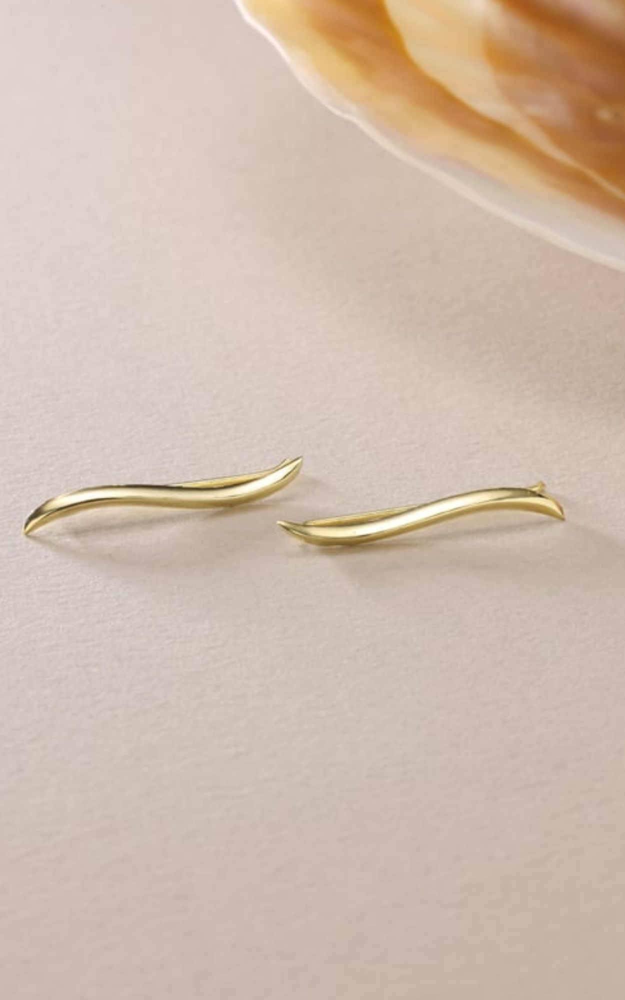 Sleek Earrings