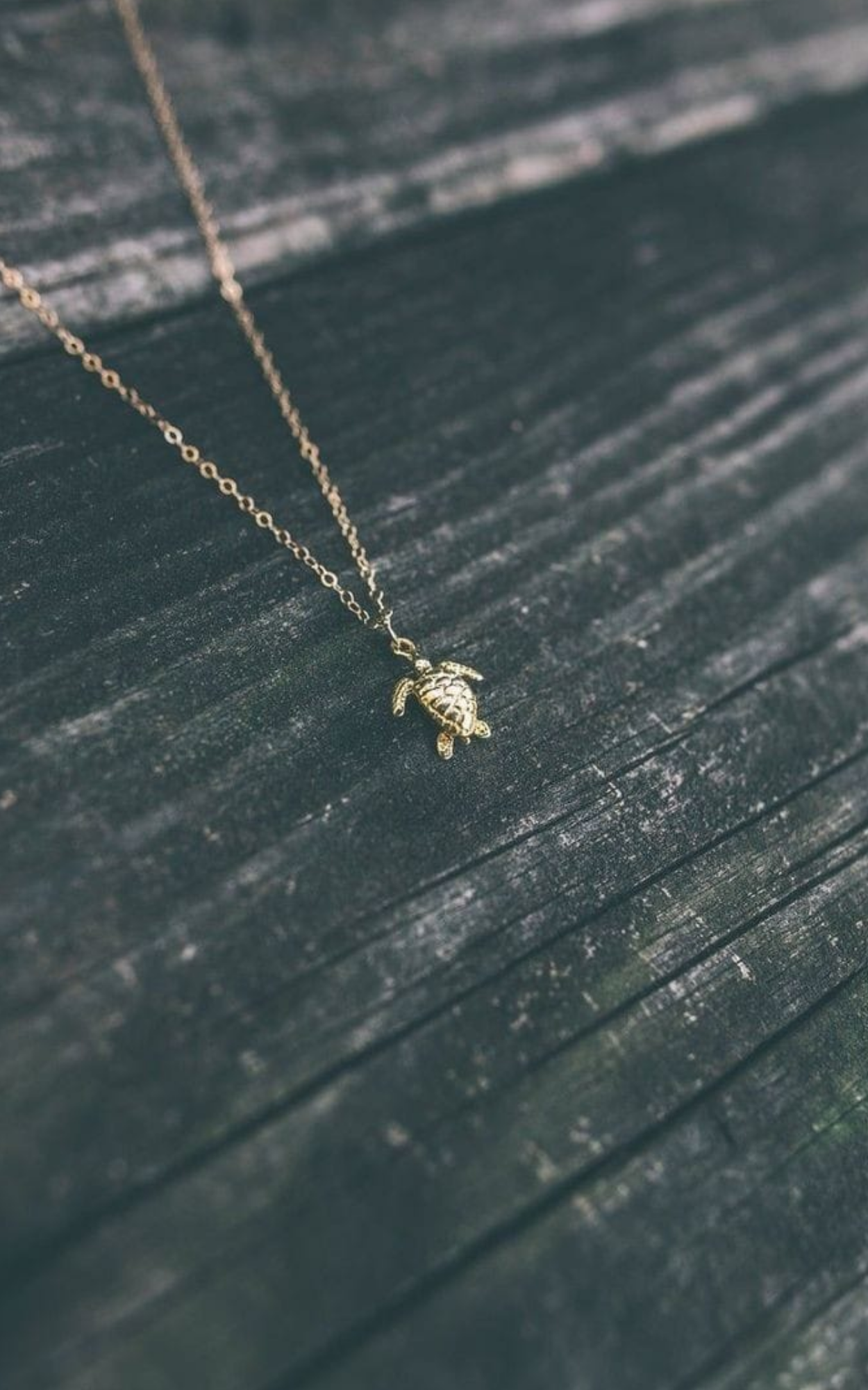 Turtle Necklace